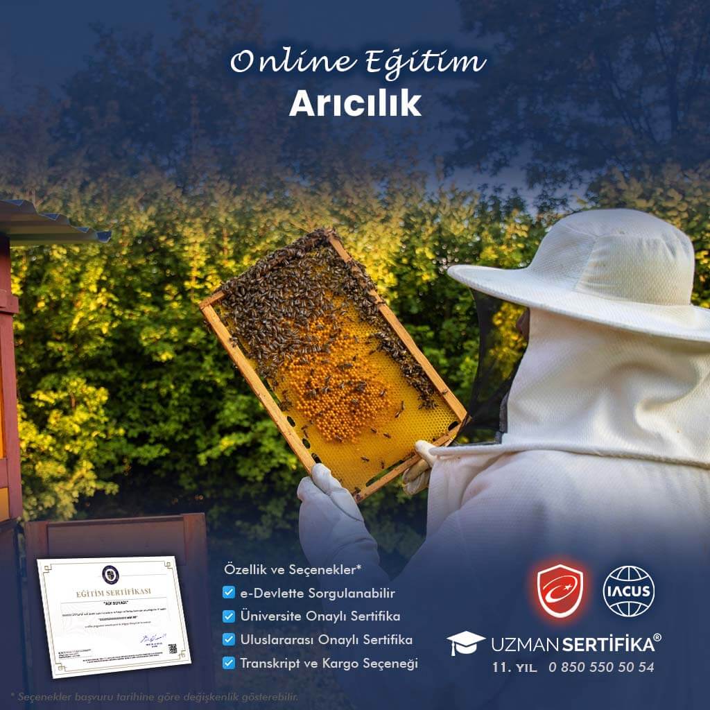 Arıcılık Eğitimi Sertifika Programı