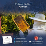 Arıcılık Eğitimi Sertifika Programı