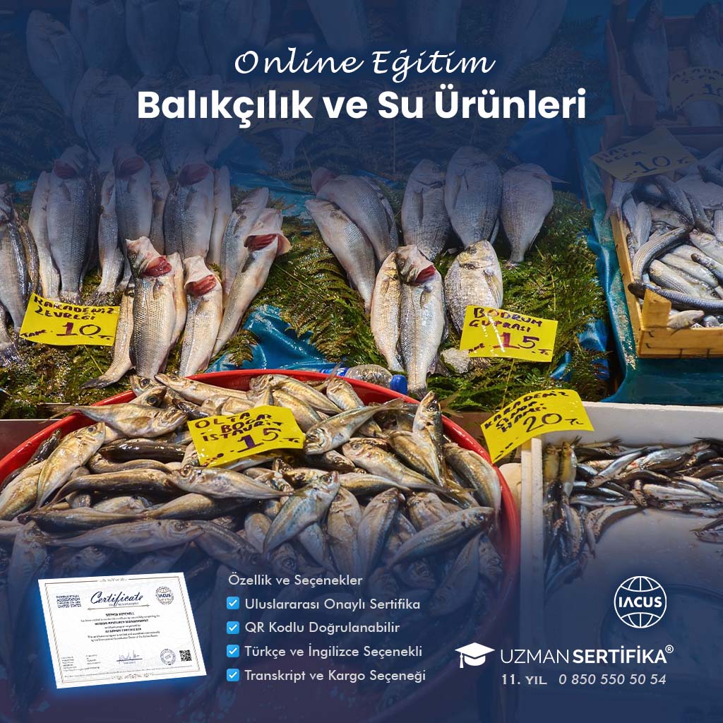 Balıkçılık ve Su Ürünleri Eğitimi Sertifika Programı
