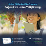 Bağcılık ve Üzüm Yetiştiriciliği Eğitimi Sertifika Programı