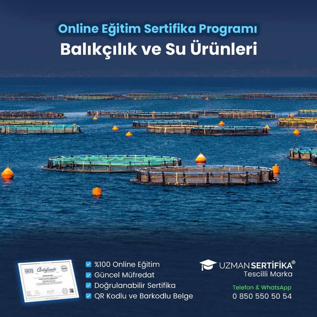 Balıkçılık ve Su Ürünleri Eğitimi Sertifika Programı