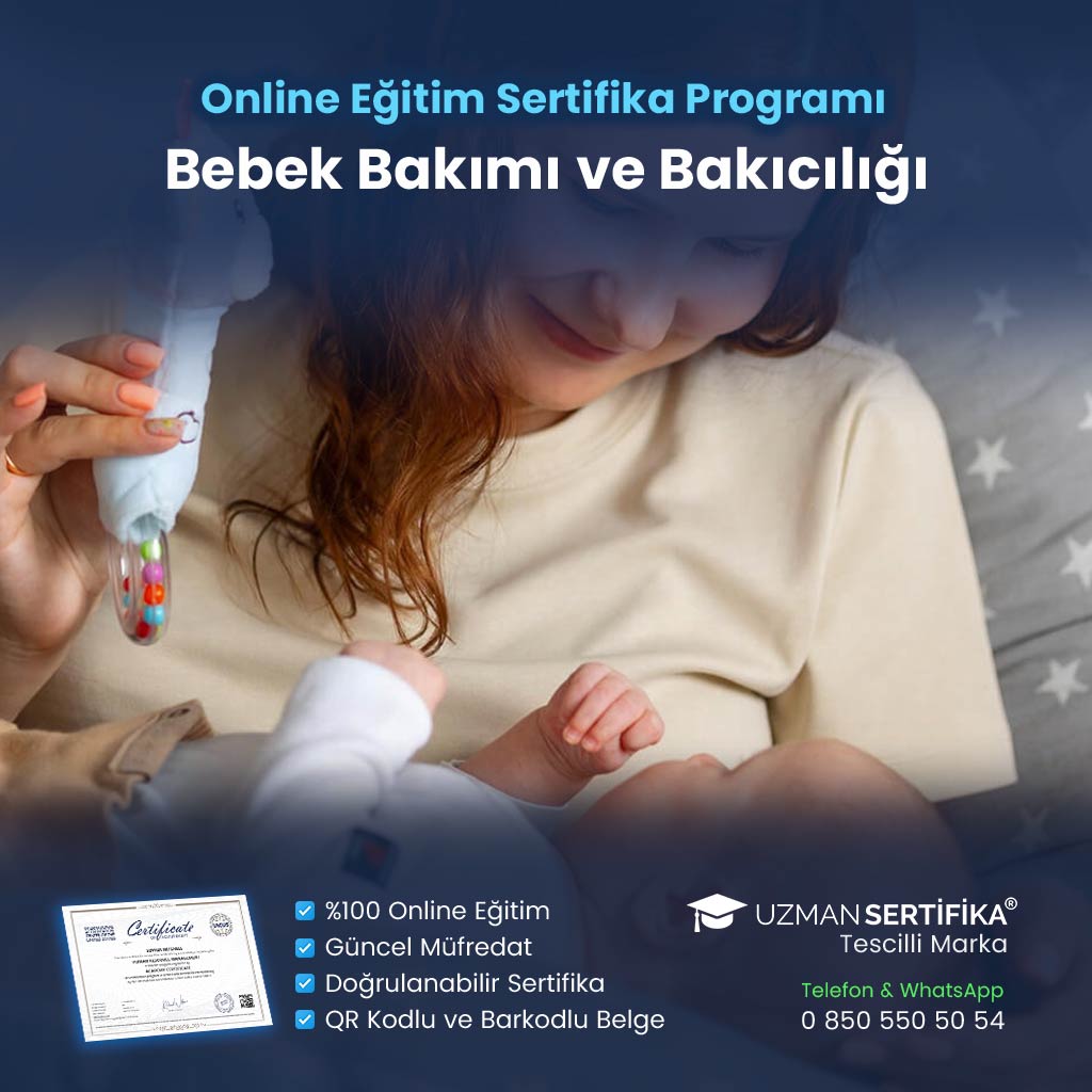 Bebek Bakımı ve Bakıcılığı Eğitimi Sertifika Programı