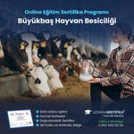 Büyükbaş Hayvan Besiciliği Eğitimi Sertifika Programı