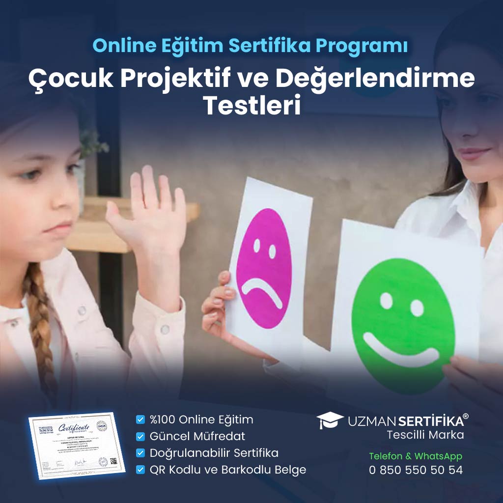 Çocuk Projektif ve Değerlendirme Testleri Uygulayıcısı Eğitimi Sertifika Programı