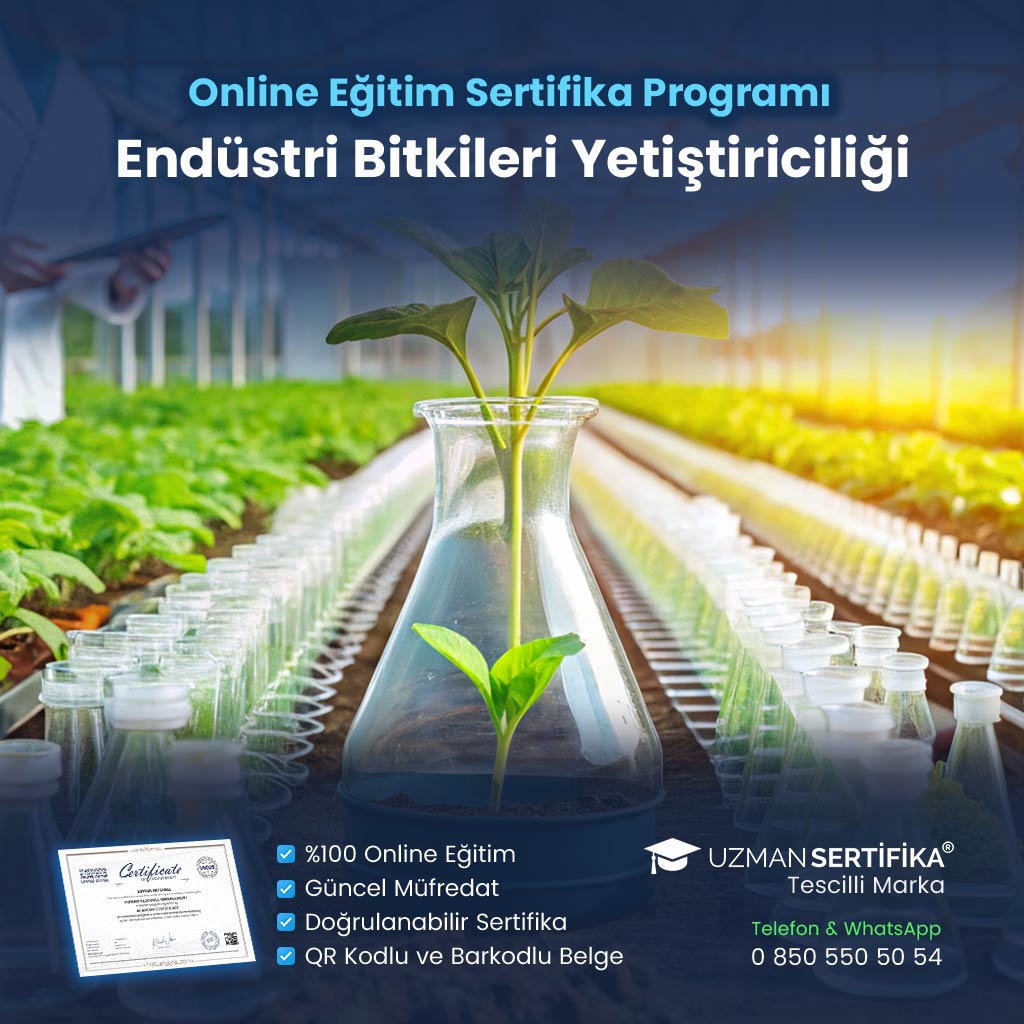 Endüstri Bitkileri Yetiştiriciliği Eğitimi Sertifika Programı