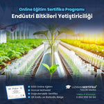 Endüstri Bitkileri Yetiştiriciliği Eğitimi Sertifika Programı