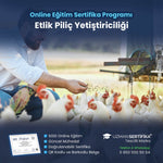 Etlik Piliç Yetiştiriciliği Eğitimi Sertifika Programı