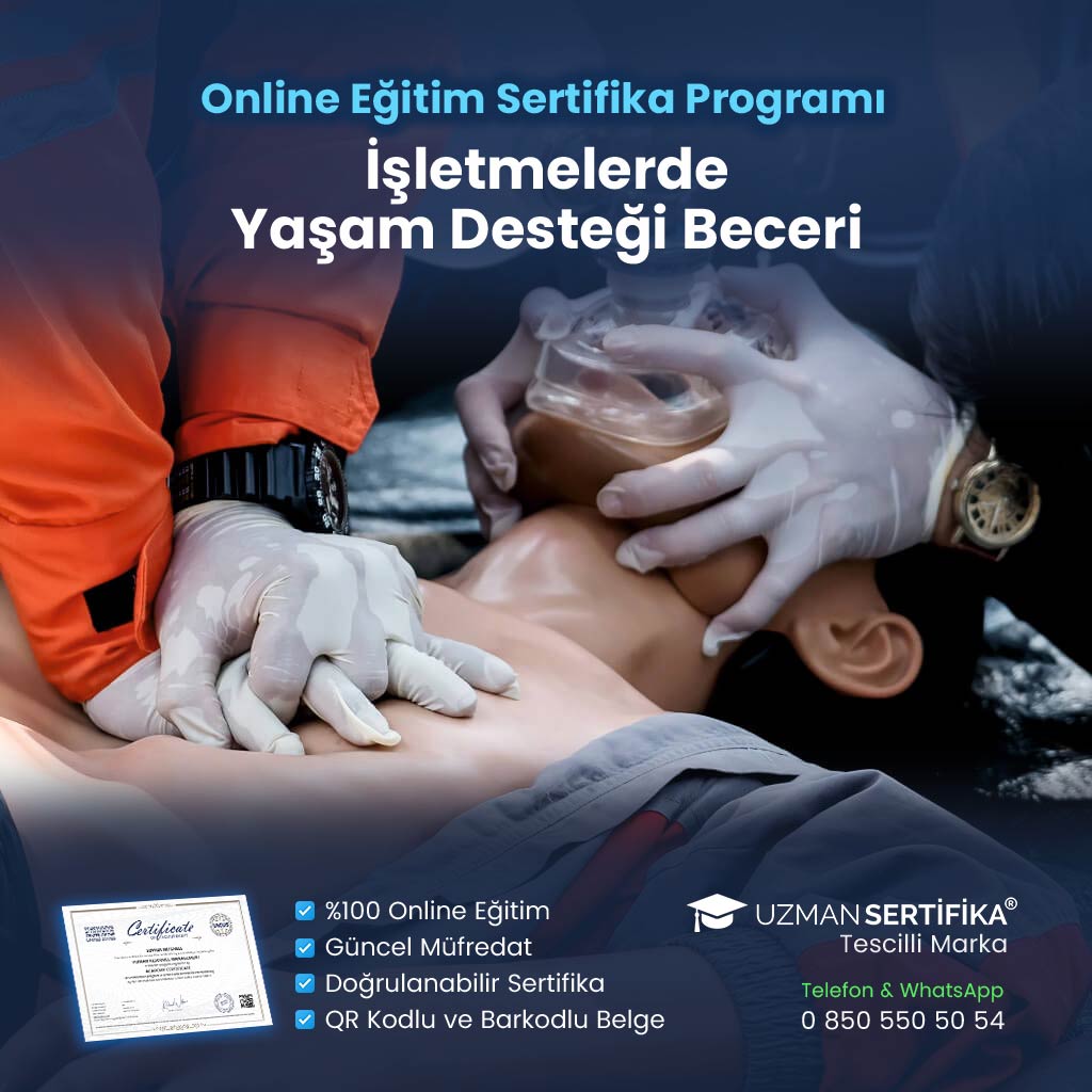 İşletmelerde Yaşam Desteği Beceri Eğitimi Sertifika Programı