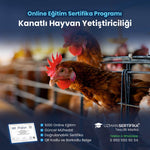 Kanatlı Hayvan Yetiştiriciliği Eğitimi Sertifika Programı