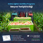 Meyve Yetiştiriciliği Eğitimi Sertifika Programı