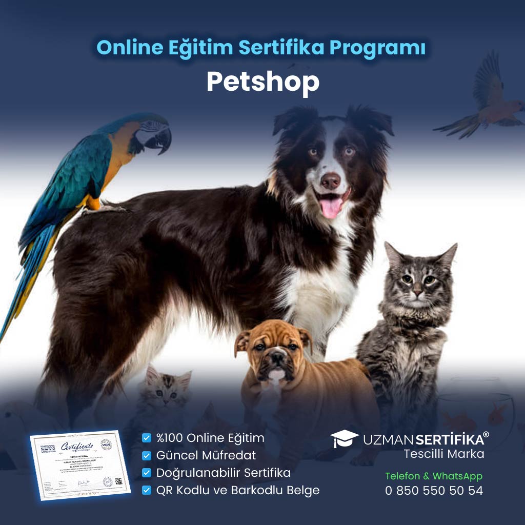 Petshop Eğitimi Sertifika Programı