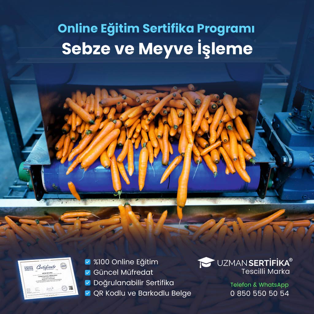 Sebze ve Meyve İşleme Elemanı Eğitimi Sertifika Programı