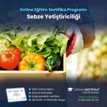 Sebze Yetiştiriciliği Eğitimi Sertifika Programı