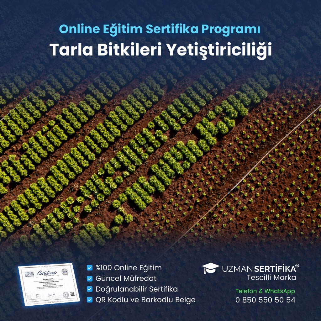 Tarla Bitkileri Yetiştiriciliği Eğitimi Sertifika Programı