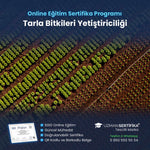 Tarla Bitkileri Yetiştiriciliği Eğitimi Sertifika Programı