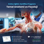 Temel Anatomi ve Fizyoloji Eğitimi Sertifika Programı