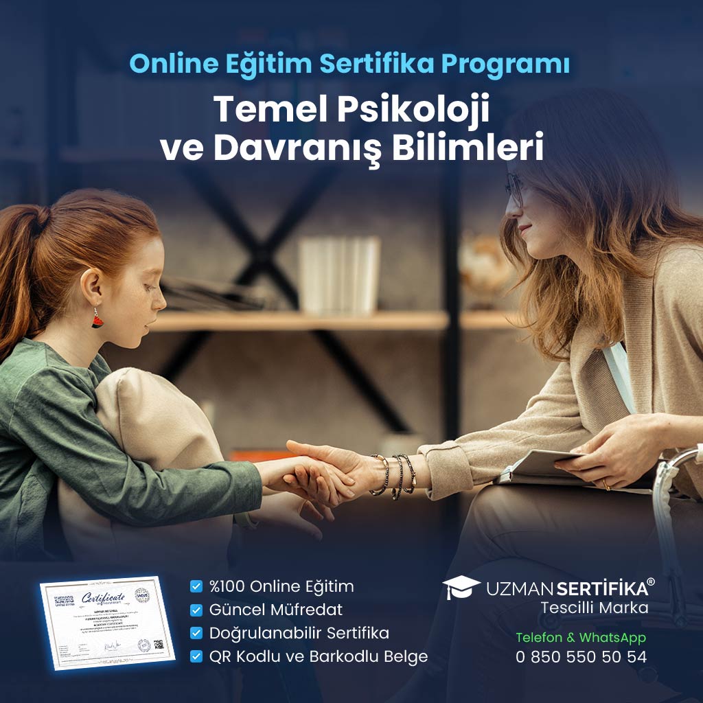 Temel Psikoloji ve Davranış Bilimleri Eğitimi Sertifika Programı