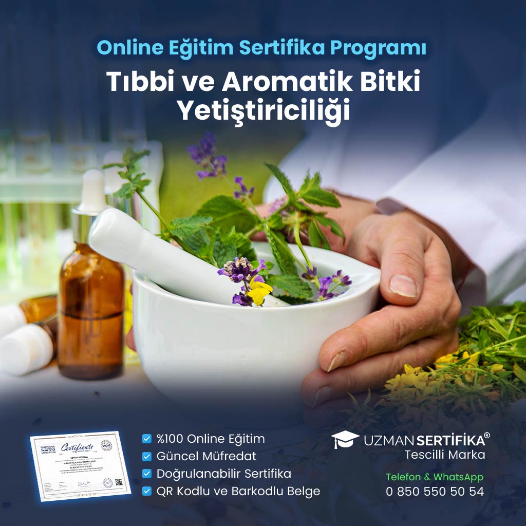 Tıbbi ve Aromatik Bitki Yetiştiriciliği Eğitimi Sertifika Programı