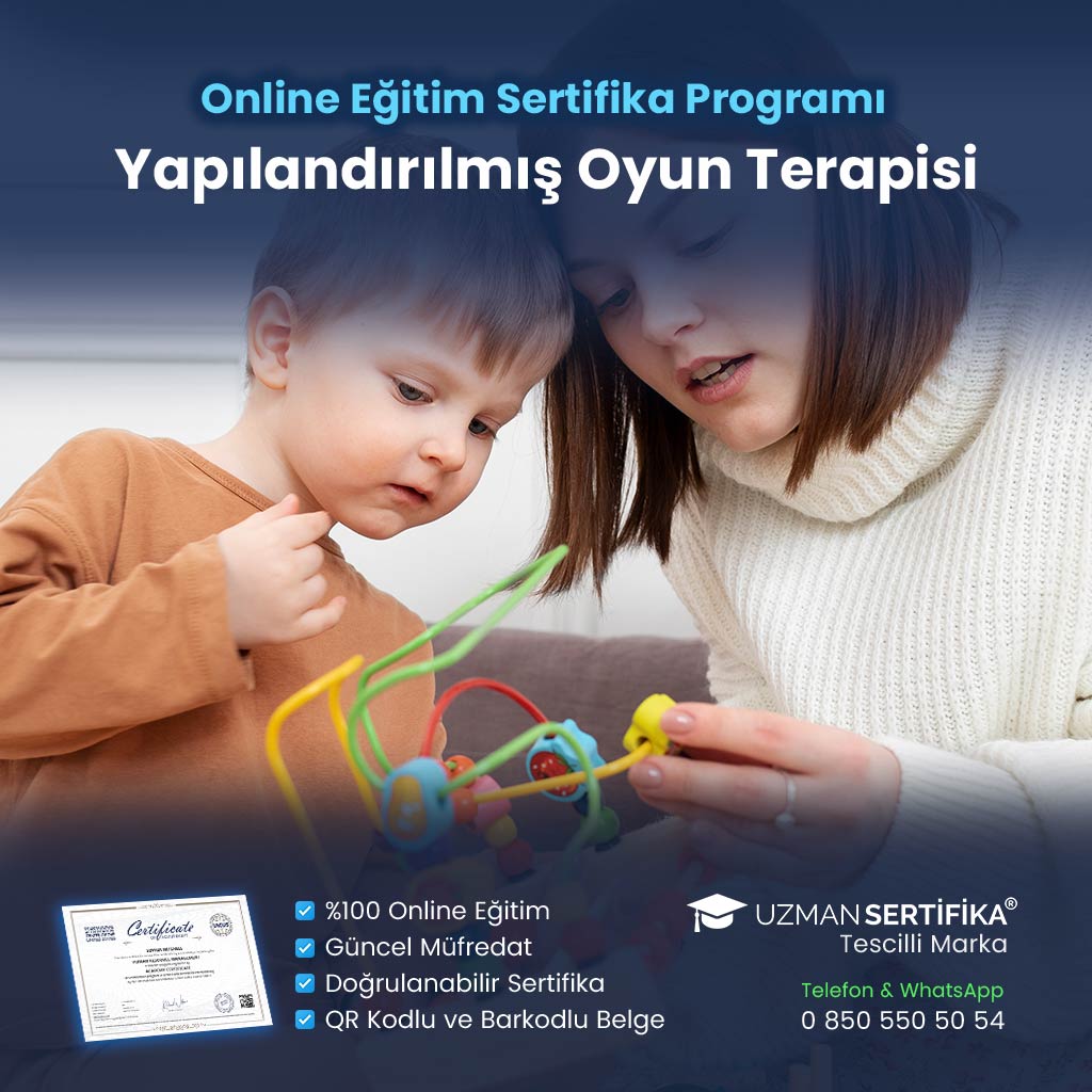 Yapılandırılmış Oyun Terapisi Eğitimi Sertifika Programı