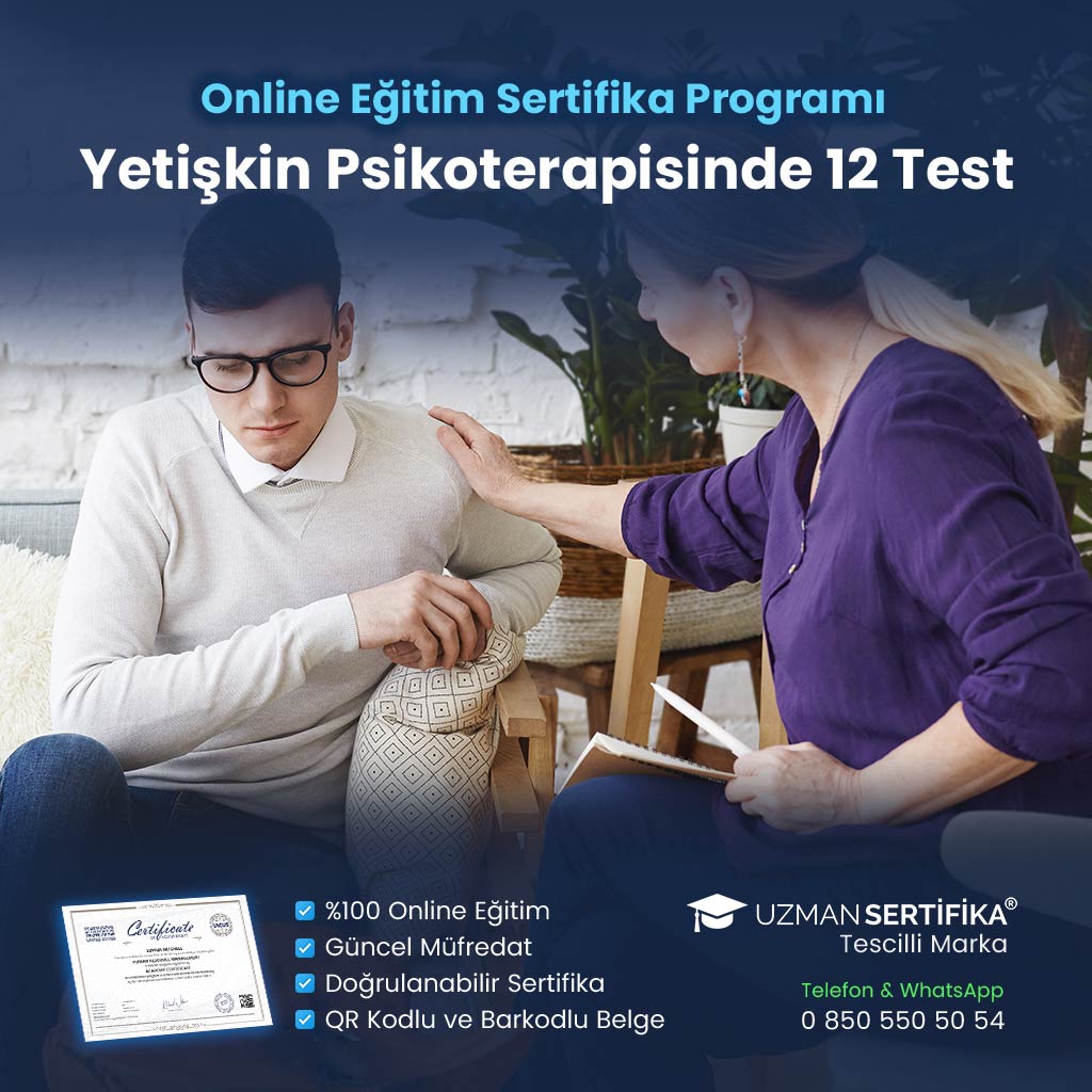 Yetişkin Odaklı Terapi Eğitimi Sertifika Programı