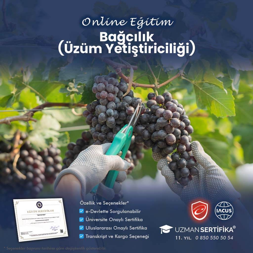 Bağcılık (Üzüm Yetiştiriciliği) Eğitimi Sertifika Programı
