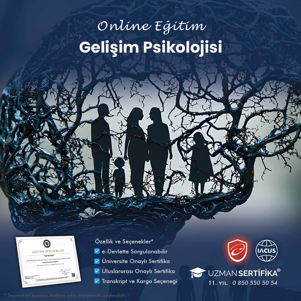 Gelişim Psikolojisi Eğitimi Sertifika Programı