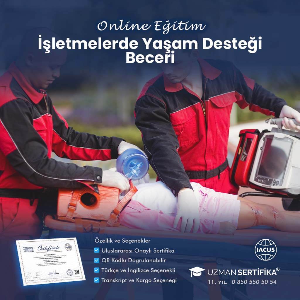 İşletmelerde Yaşam Desteği Beceri Eğitimi Sertifika Programı