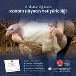 Kanatlı Hayvan Yetiştiriciliği Eğitimi Sertifika Programı