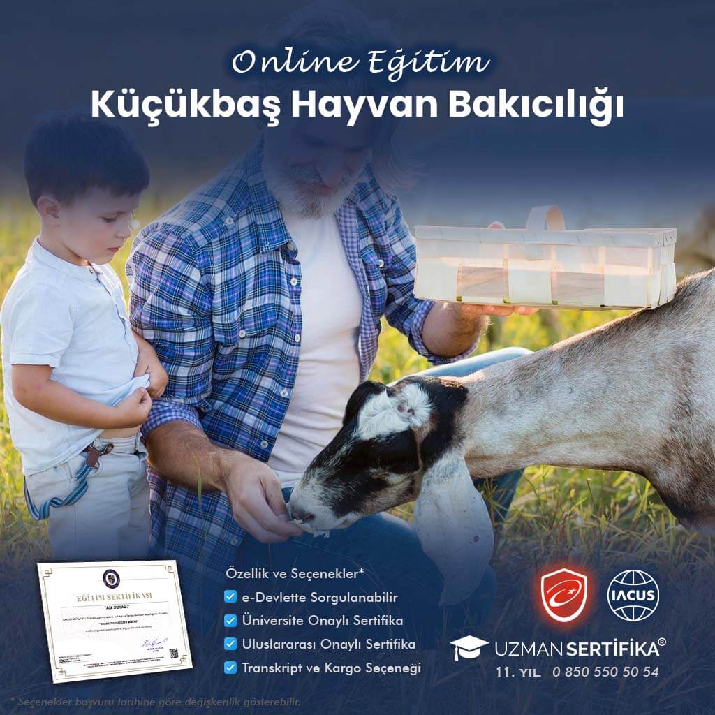 Küçükbaş Hayvan Yetiştiriciliği Eğitimi Sertifika Programı