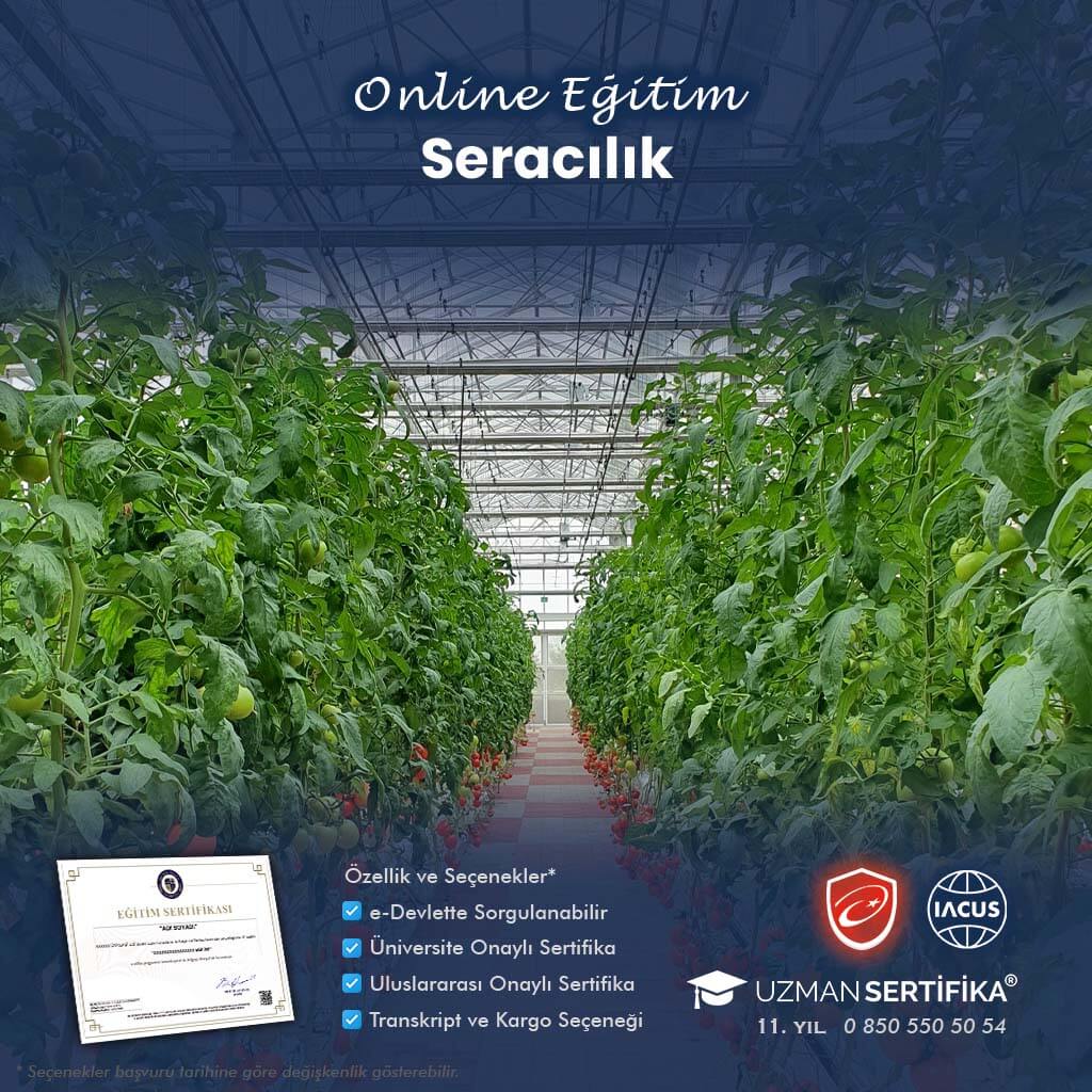Seracılık Eğitimi Sertifika Programı