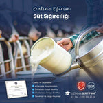 Süt Sığırcılığı Eğitimi Sertifika Programı