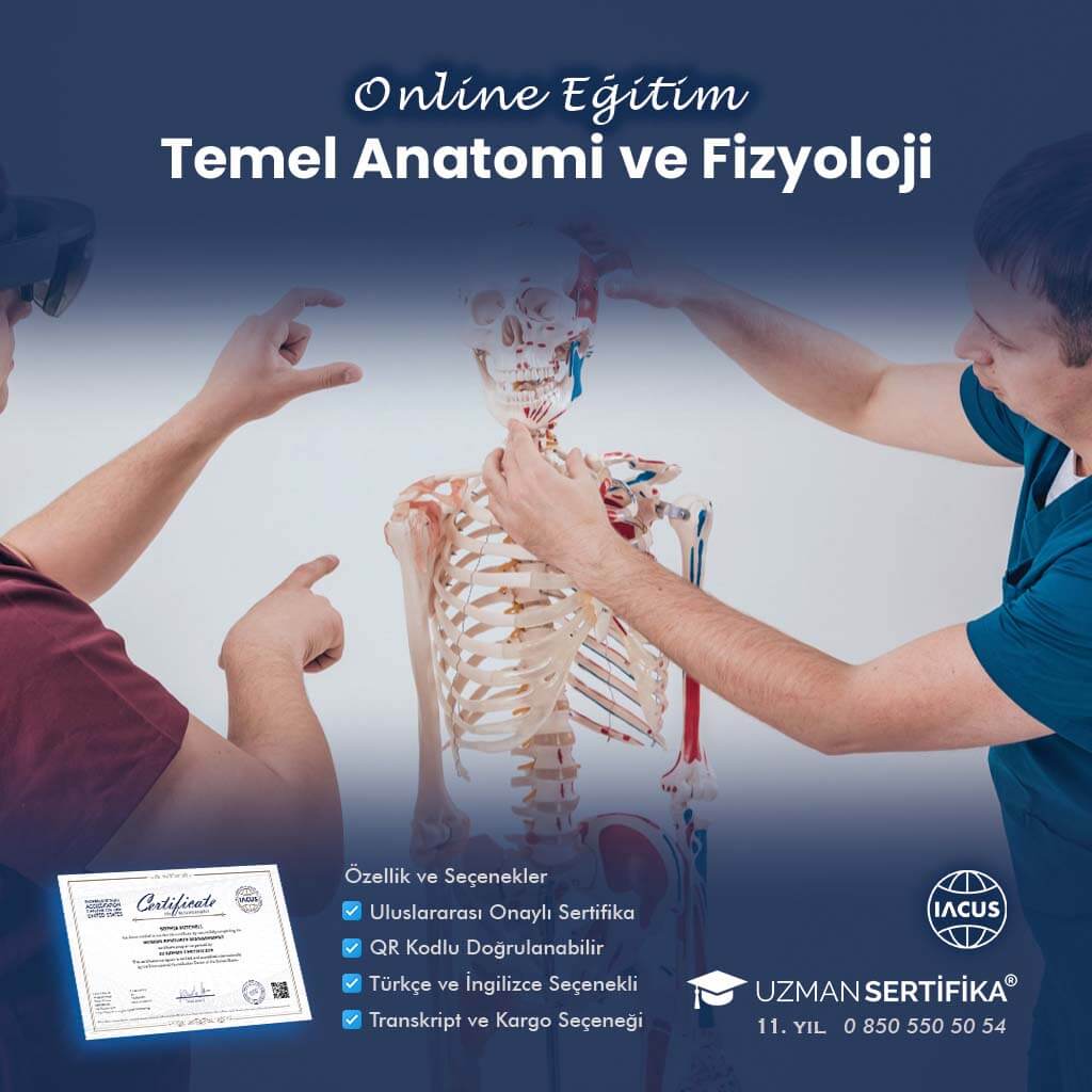 Temel Anatomi ve Fizyoloji Eğitimi Sertifika Programı