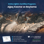Ağaç Kesme ve Boylama Eğitimi Sertifika Programı