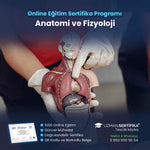 Anatomi ve Fizyoloji Eğitimi Sertifika Programı