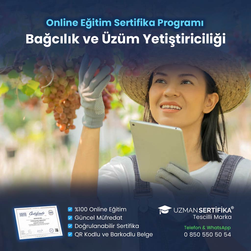 Bağcılık ve Üzüm Yetiştiriciliği Eğitimi Sertifika Programı