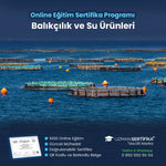 Balıkçılık ve Su Ürünleri Eğitimi Sertifika Programı