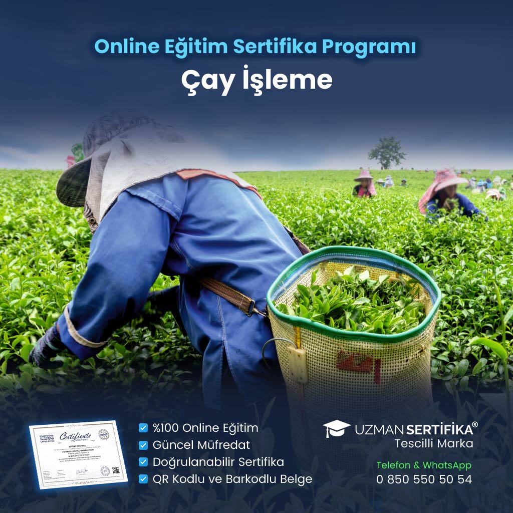Çay İşleme Eğitimi Sertifika Programı