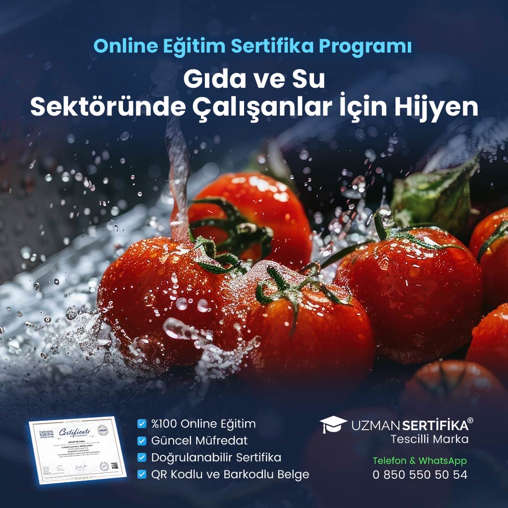 Gıda ve Su Sektöründe Çalışanlar İçin Hijyen Eğitimi Sertifika Programı