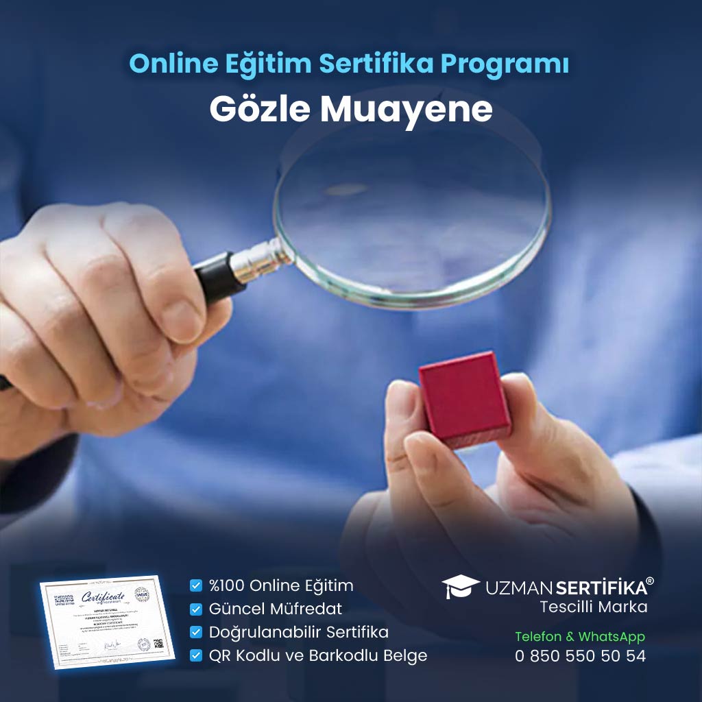Gözle Muayene Eğitimi Sertifika Programı