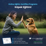 Köpek Eğitimi Sertifika Programı