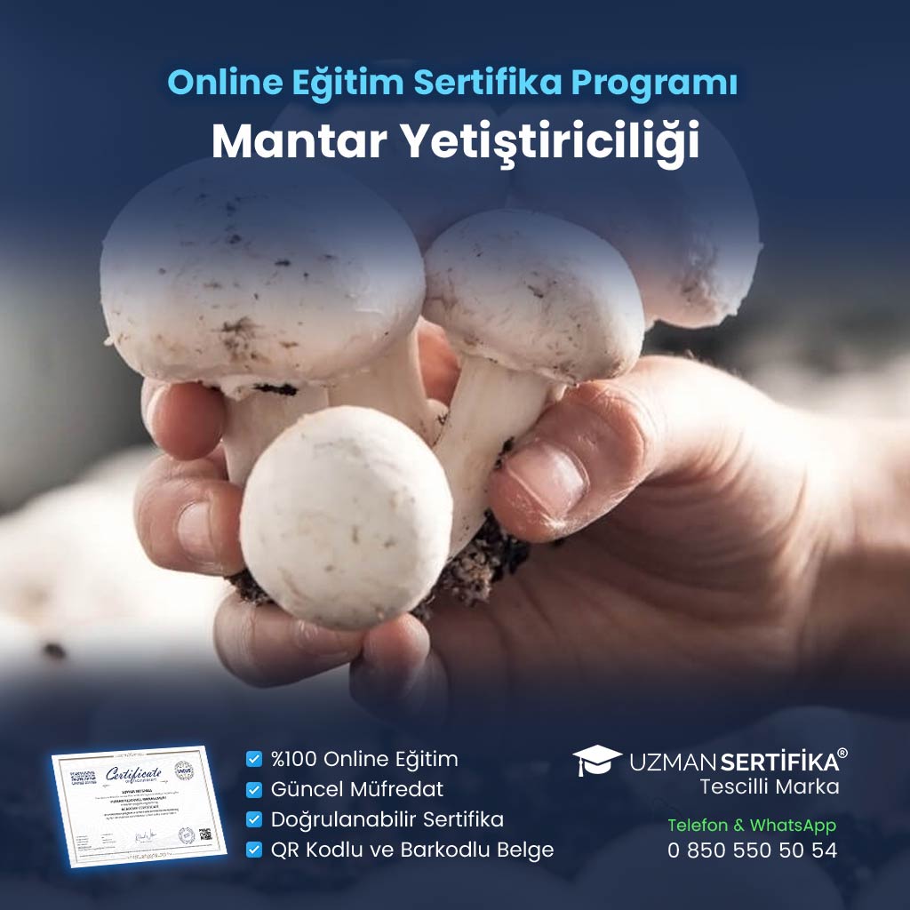 Mantar Yetiştiriciliği Eğitimi Sertifika Programı