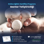 Mantar Yetiştiriciliği Eğitimi Sertifika Programı