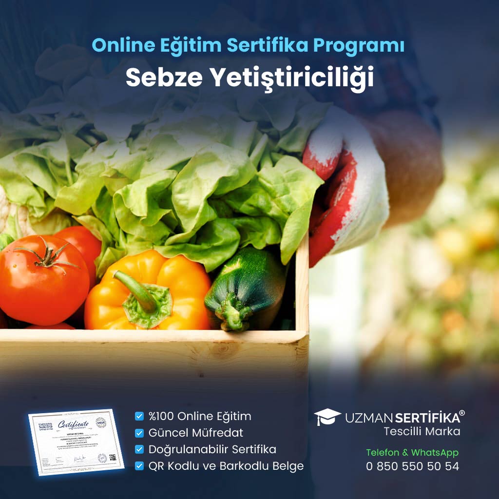 Sebze Yetiştiriciliği Eğitimi Sertifika Programı