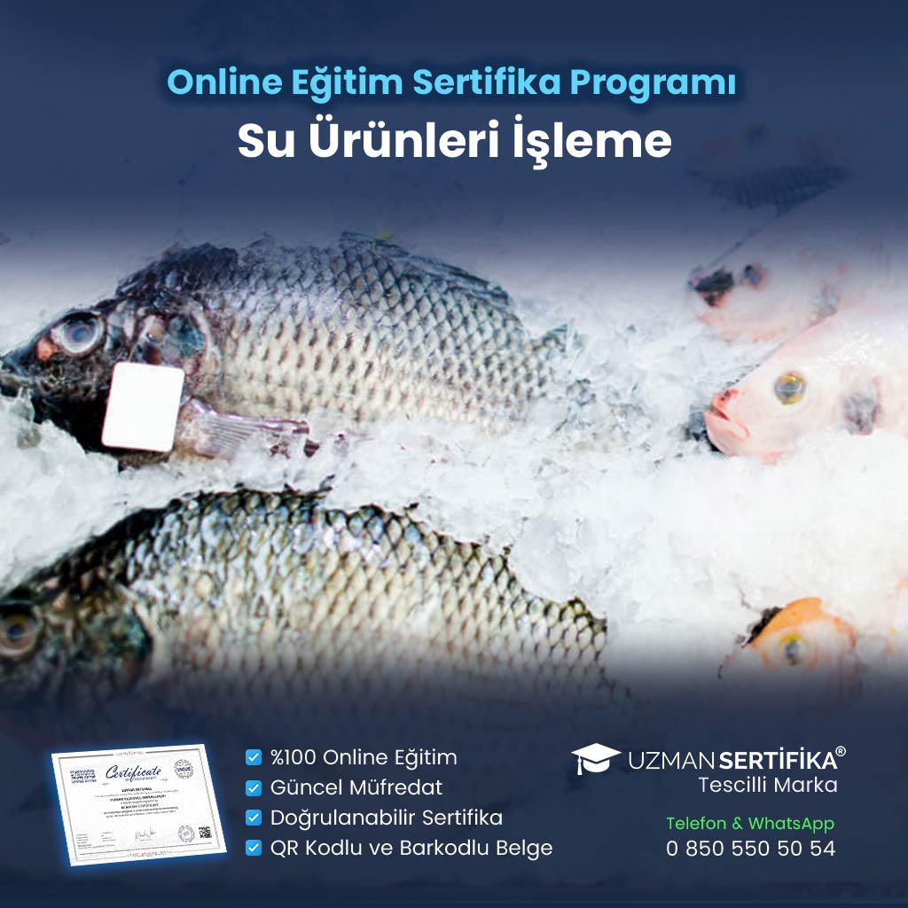 Su Ürünleri İşleme Eğitimi Sertifika Programı