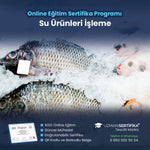 Su Ürünleri İşleme Eğitimi Sertifika Programı