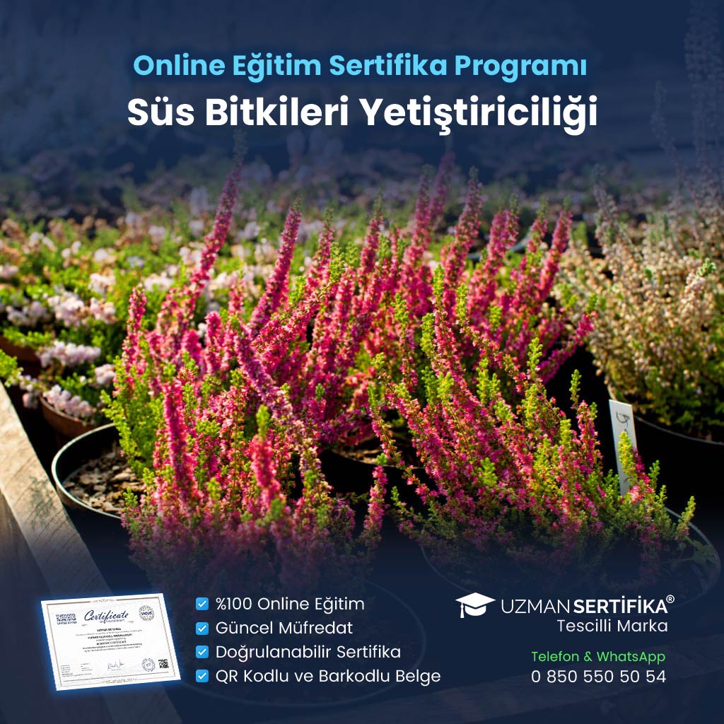 Süs Bitkileri Yetiştiriciliği Eğitimi Sertifika Programı