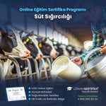 Süt Sığırcılığı Eğitimi Sertifika Programı
