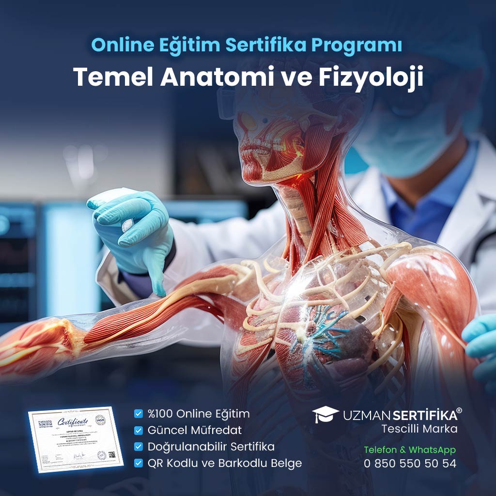 Temel Anatomi ve Fizyoloji Eğitimi Sertifika Programı