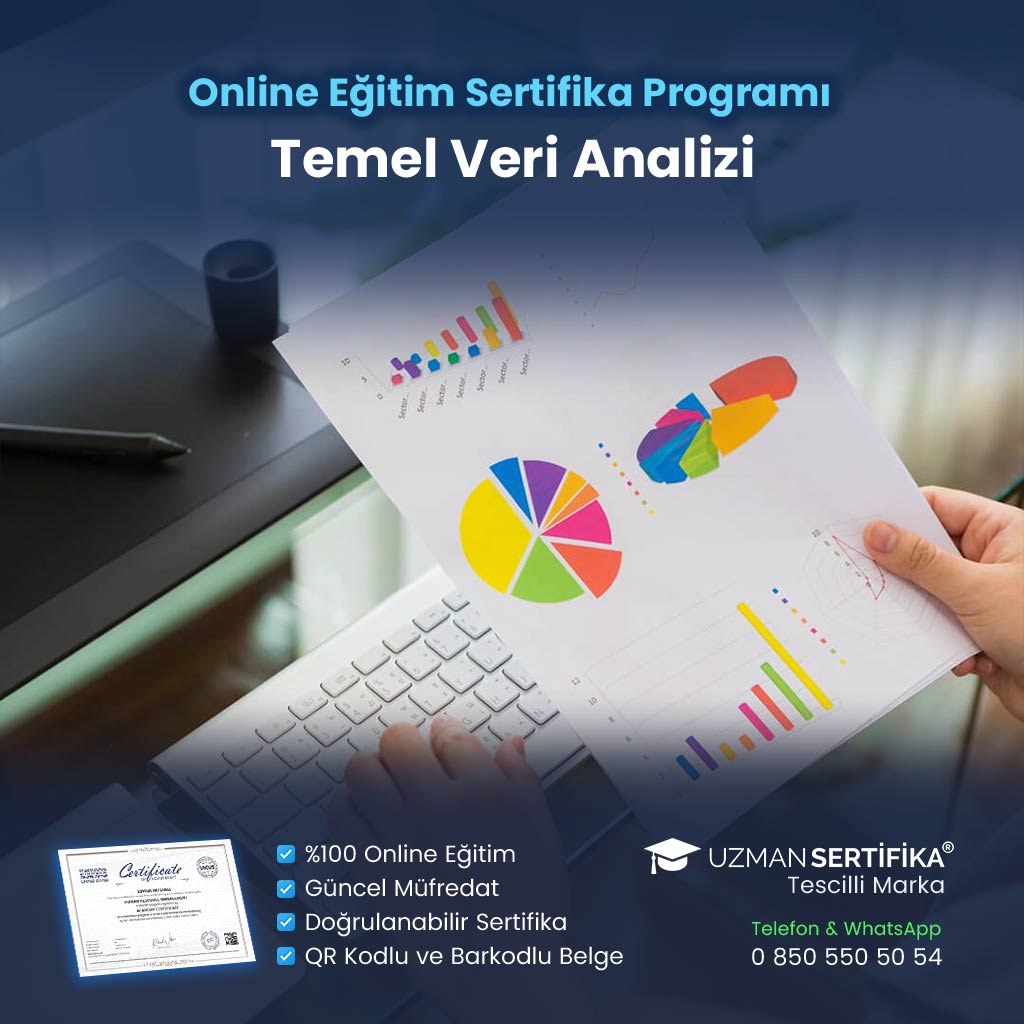 Temel Veri Analizi Eğitimi Sertifika Programı