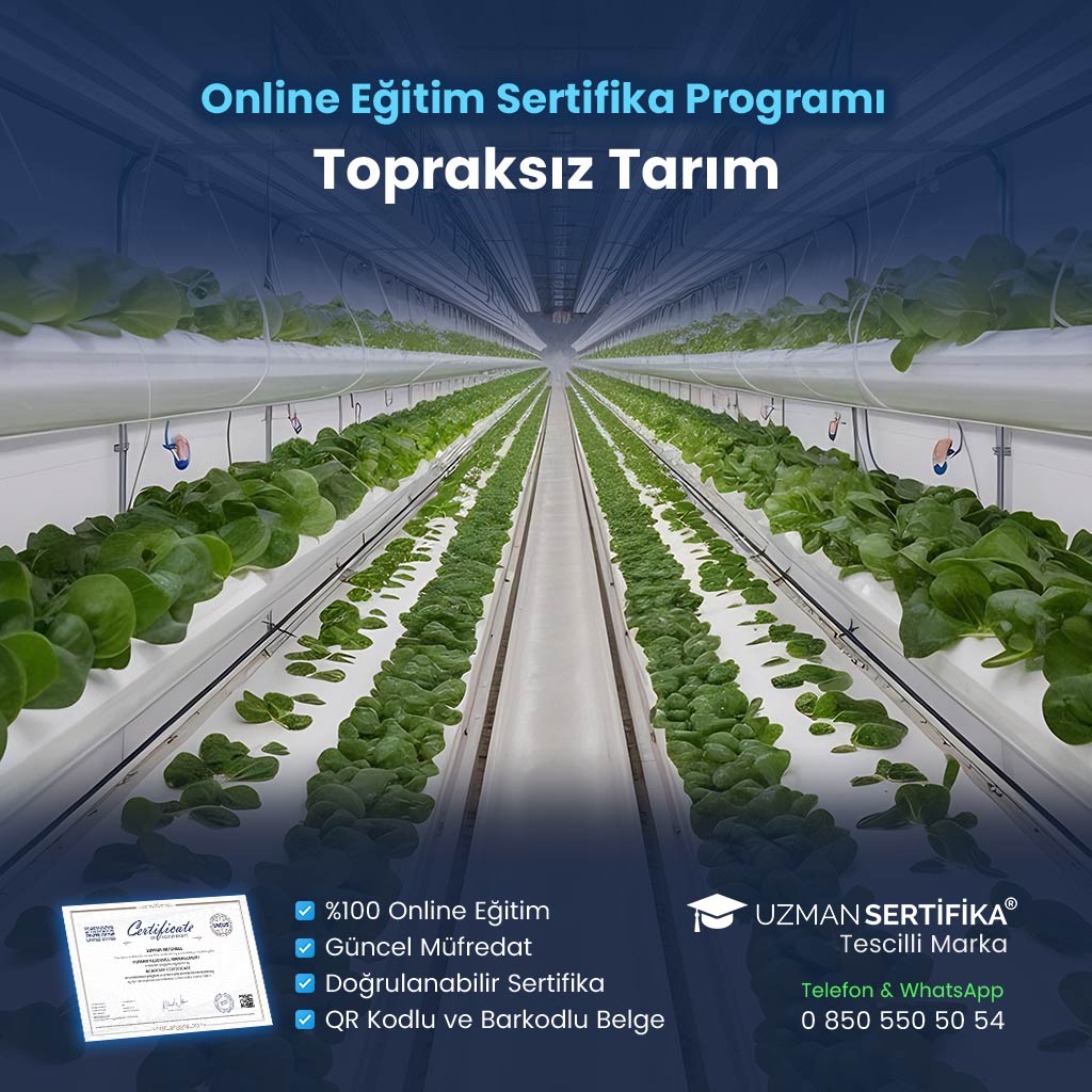 Topraksız Tarım Eğitimi Sertifika Programı